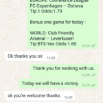 Best Professional Soccer Fixed Matches Predictions 1X2