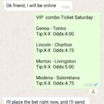Professional England Best Fixed Matches Tips 1X2