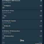 Fixed Maches Vip TIcket 06.11.25 (1)