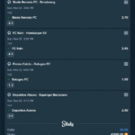 Vip Fixed Maches 11.02 (1)