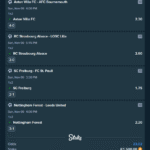 Vip Ticket 09.11.25 Fixed matches (1)