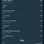 Vip Ticket 15.11.25 FIxed Matches (1)